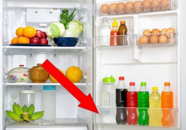 Šaldytuvo SAMSUNG apatinė durų lentynėlė,orig. Buitinių šaldytuvų laikikliai, stalčiai, lentynos ir kitos plastmasinės detalės