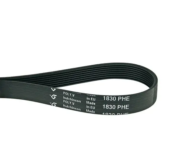 Džiovyklei  ELECTROLUX / AEG dirželis 1830H8, POLY V BELT L=1830MM Džiovyklių dirželiai ir būgno jutikliai
