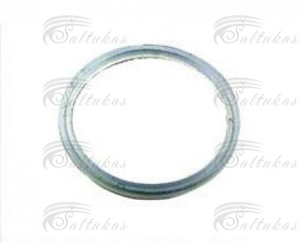 MIELE 700 filtro dangtelio tarpinė,