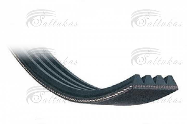 Dryer strap 1920 H8 EL Džiovyklių dirželiai ir būgno jutikliai