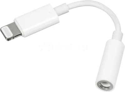 Adapteris LIGHTNING į 3.5mm lizdas. APPLE MMX62ZM/A LIGHTNING TO 3.5MM HEADPHONE JACK ADAPTER Kompiuterių, planšečių, žaidimo konsolių, echolotų (iPad, Tab) dalys Wi-Fi adapteriai