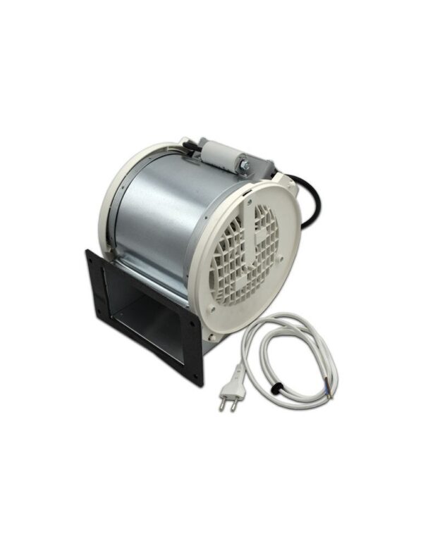 Gartraukio CATA variklis komplekte.Grup Motor Hota, 15101000, Cata, 270W, 240V, 5.5uF - Image 4